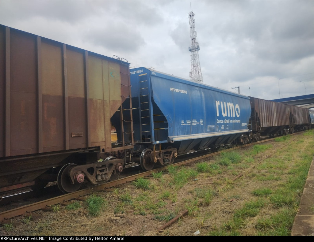 RUMO HTT-351565-6